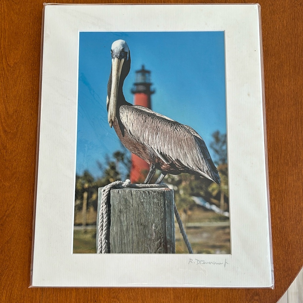 Photograph print, signed. Not ever used.